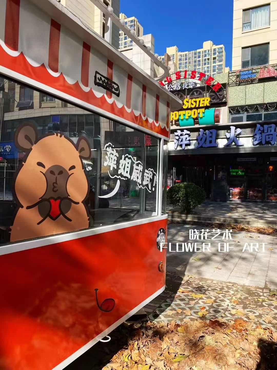 網(wǎng)紅小車